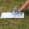 Transparent Label
